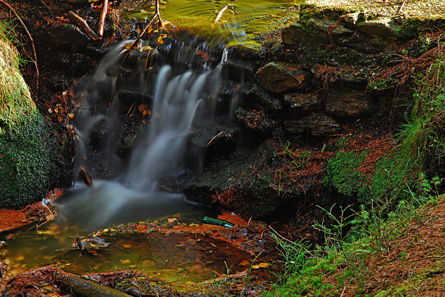 Überlauf eines Waldteiches