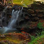 Überlauf eines Waldteiches