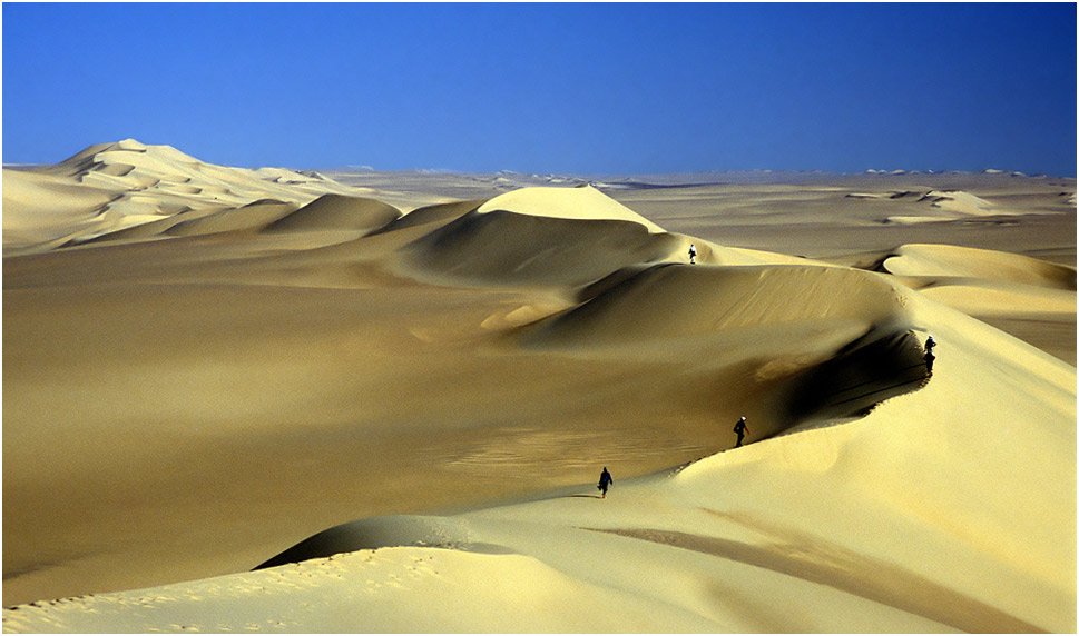 "überlaufene Sahara" RELOAD