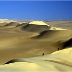 "überlaufene Sahara" RELOAD