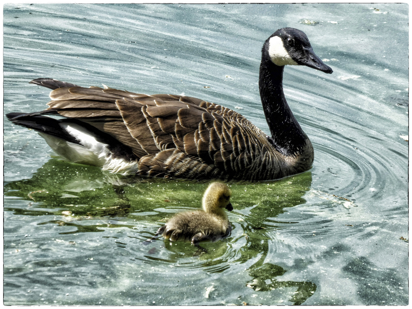 ÜBERLEBENSTRAINING AUF DEM SEE......