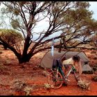 ÜBERLEBENSTRAINING IM OUTBACK