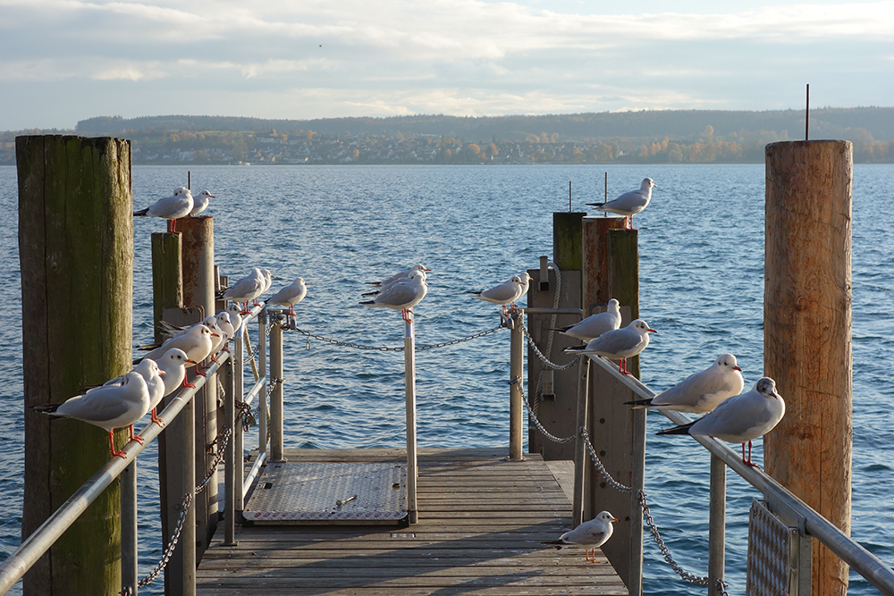 Überlingen im November, die letzten Touristen nehmen ein Sonnenbad