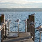 Überlingen im November, die letzten Touristen nehmen ein Sonnenbad