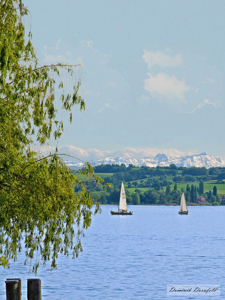 Überlinger Panorama