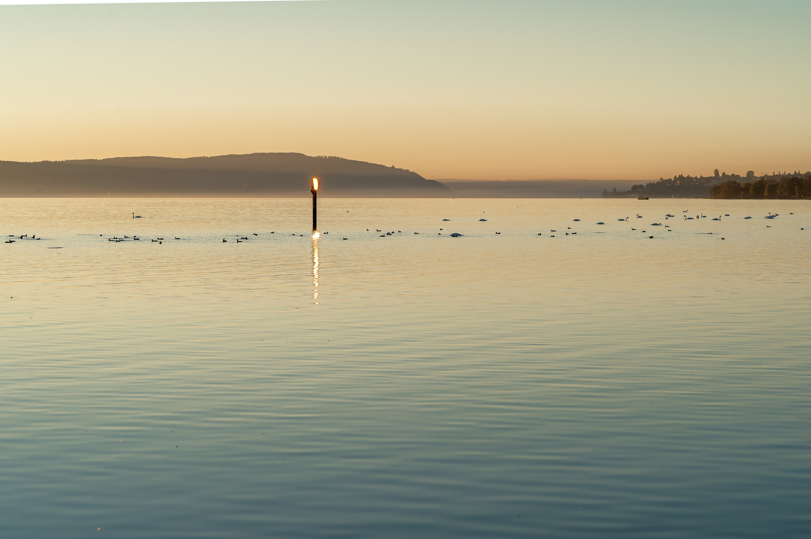 Überlinger See am Abend 2014