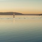 Überlinger See am Abend 2014