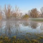 Überlutung in den Siegauen