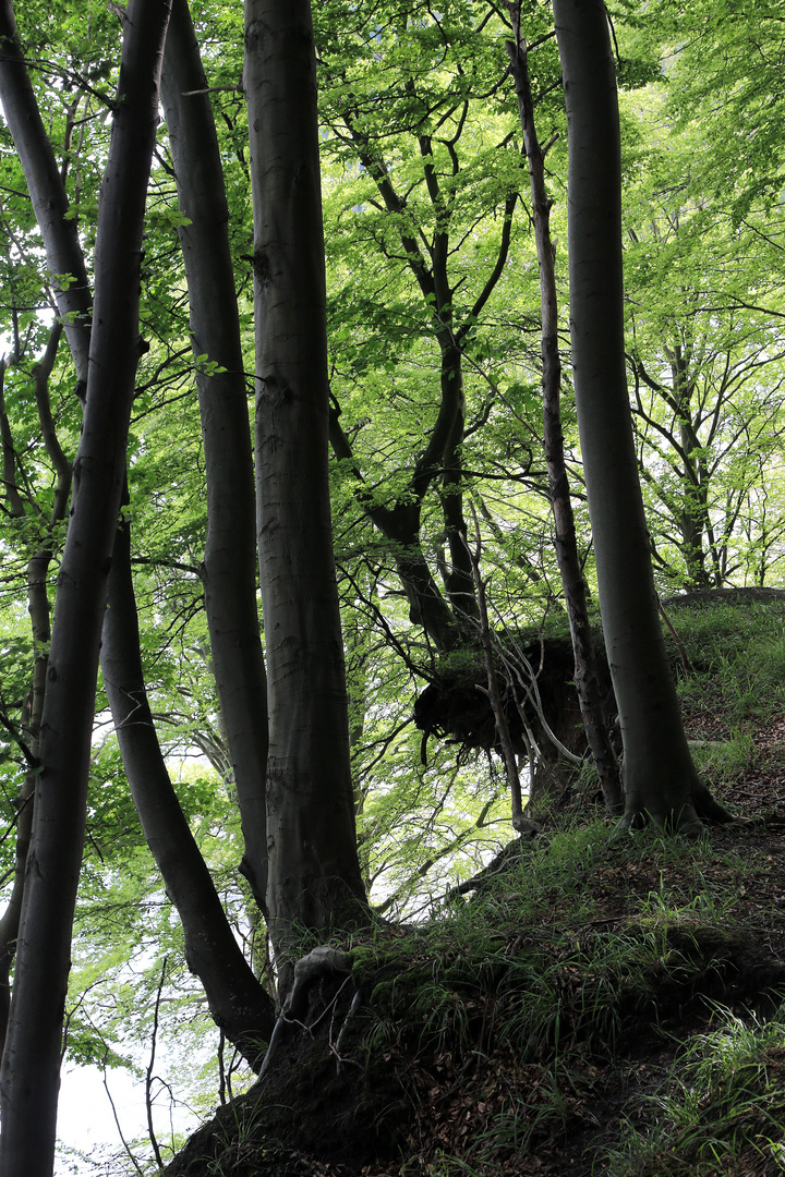 überm abgrund