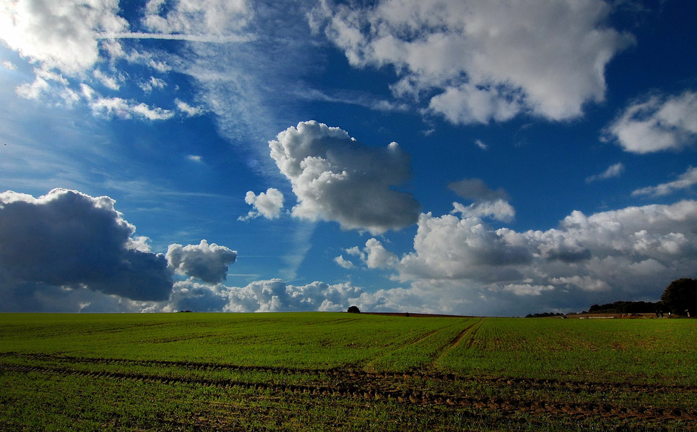 Überm Feld