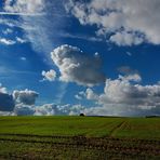 Überm Feld