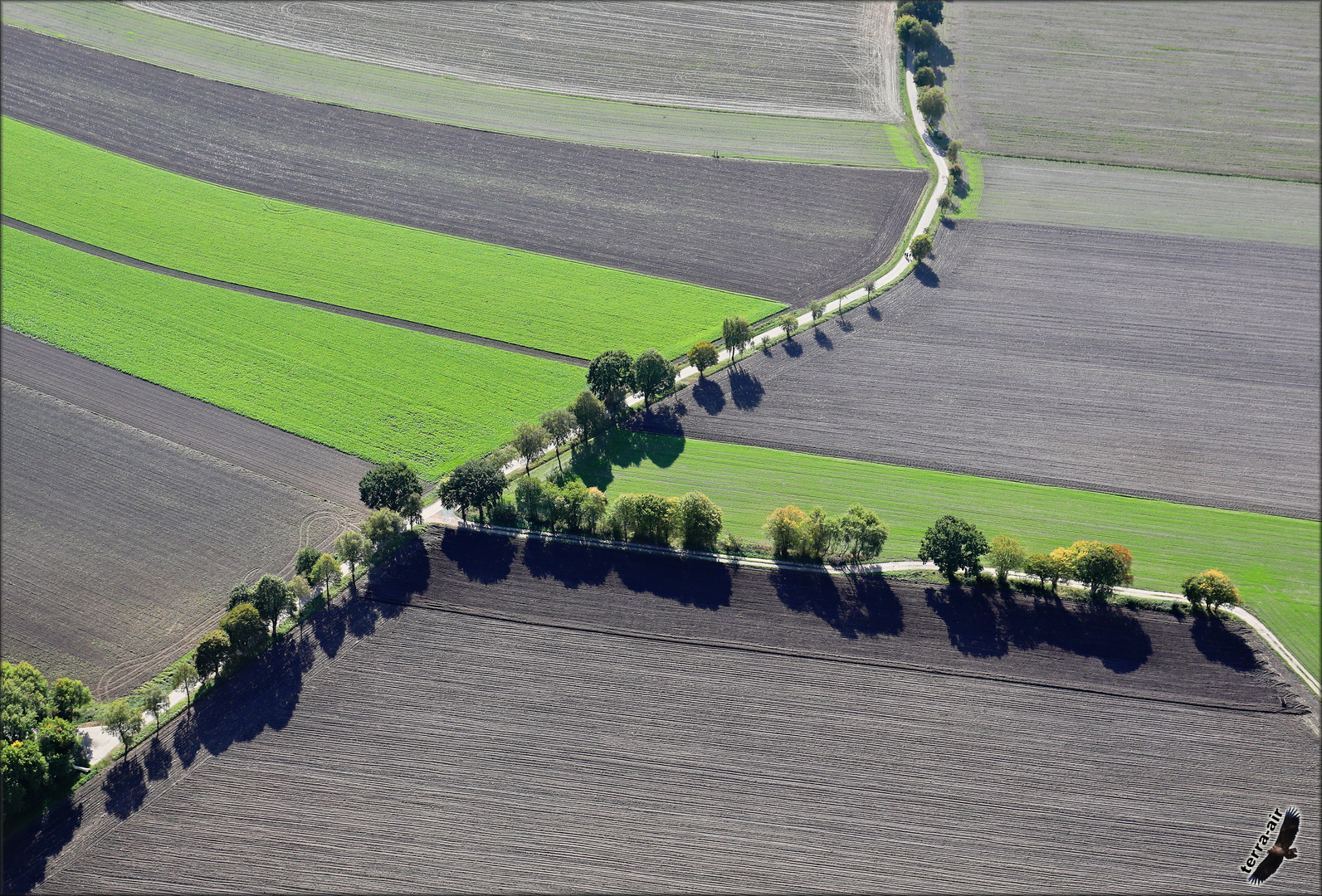 Überm Feld (Luftbild, aerial)