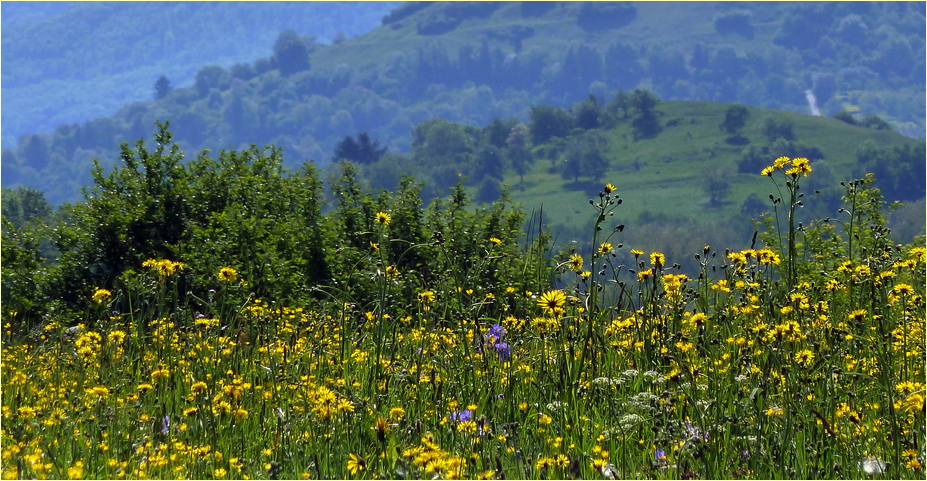 Überm Hügel