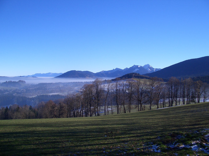 Überm Nebel...