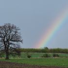 Überm Regenbogen   ;-)