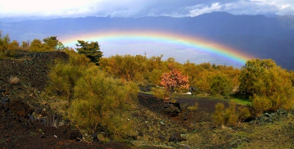 überm Regenbogen