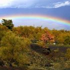 überm Regenbogen