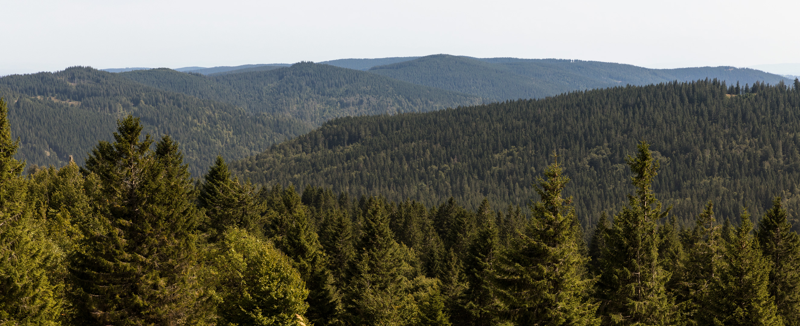 Überm Schwarzwald