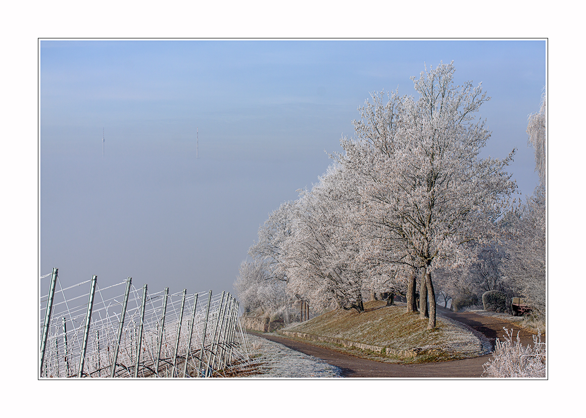 überm Winternebel