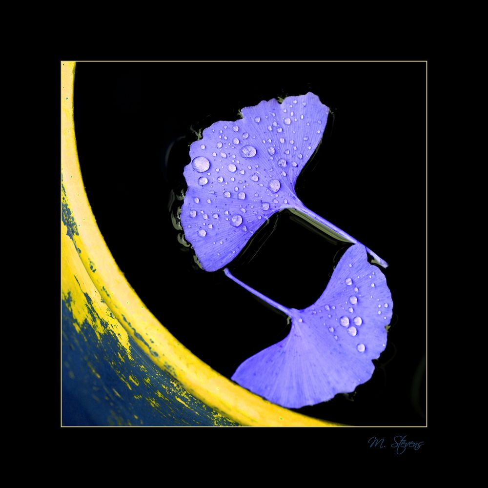 Übermut Foto & Bild spezial, makro, bearbeitung Bilder auf