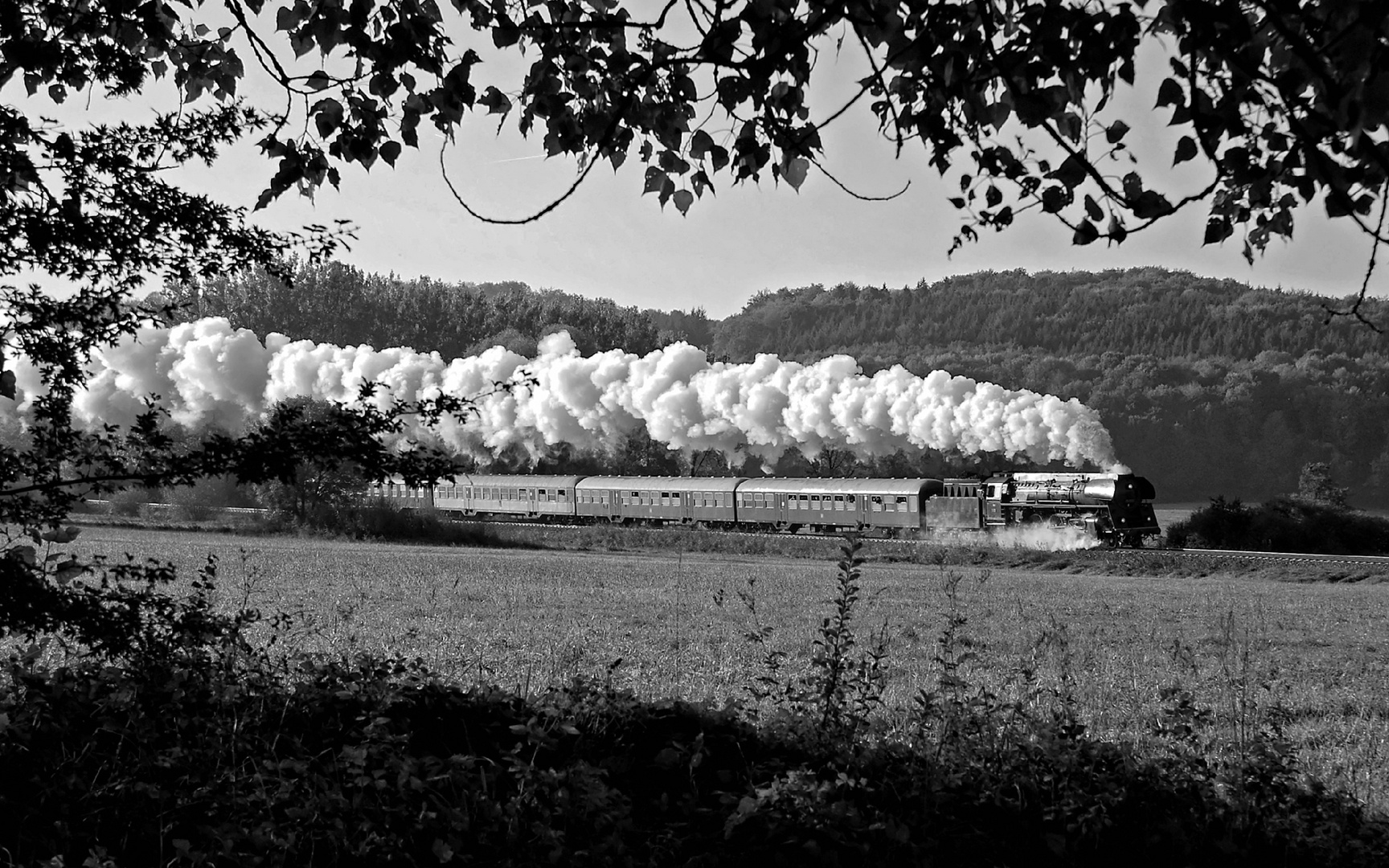 Über´n Buckel 2007 - Plandampf mit Sonderzug