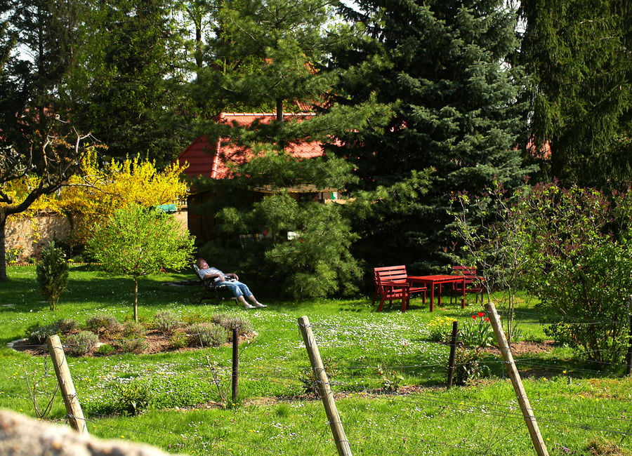 Übern Gartenzaun lunchen