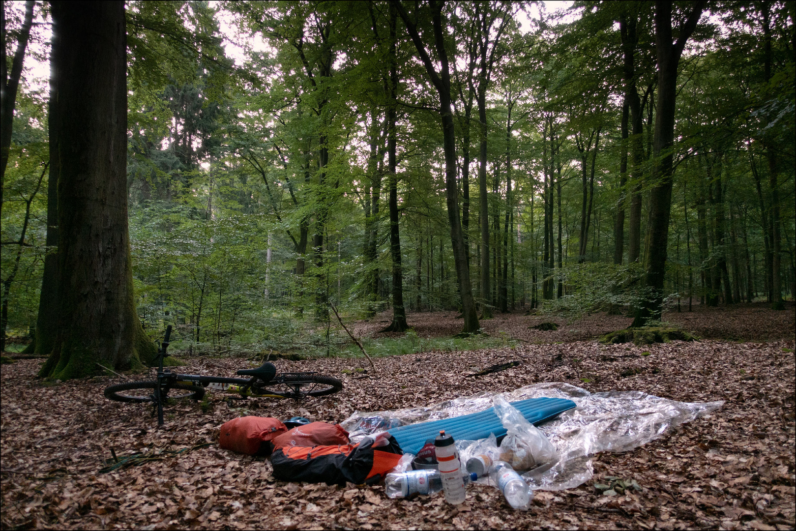 Übernachtung im Sachsenwald