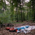 Übernachtung im Sachsenwald