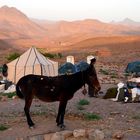 Übernachtungsplatz im Saghro-Gebirge während einer Trekking-Tour