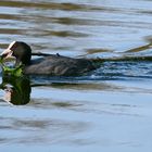 "Überral(l), wird fleißig gebaut"