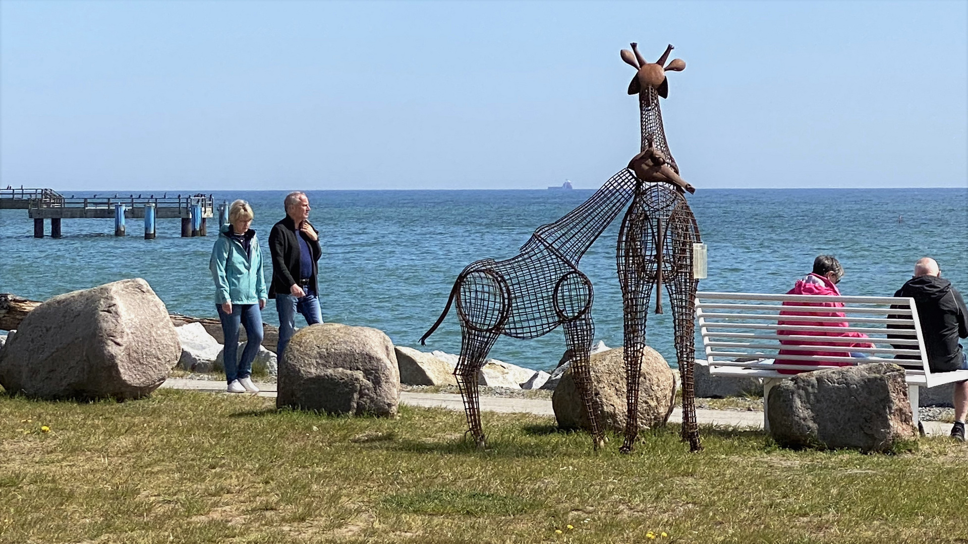 Überraschende Begegnung in Sassnitz