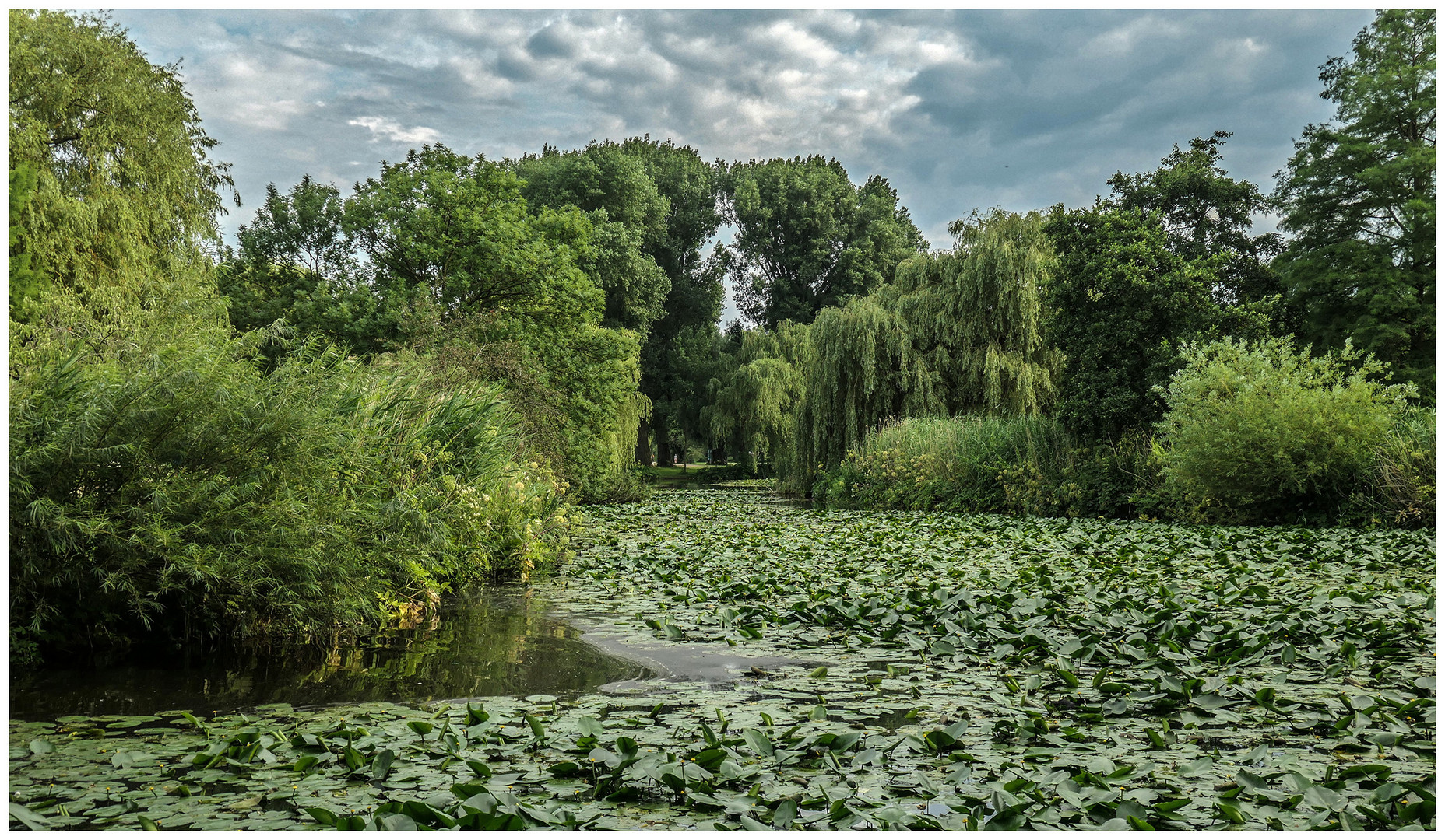 Überraschende Natur