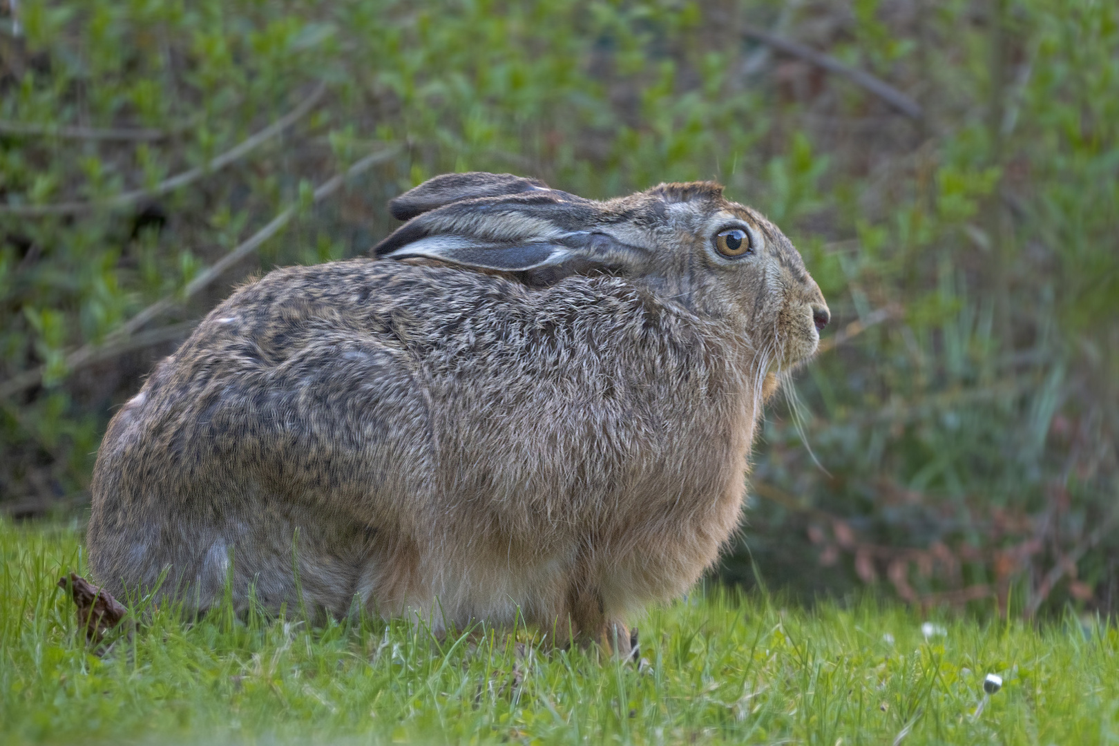 Überraschender Besuch