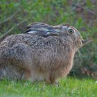 Überraschender Besuch