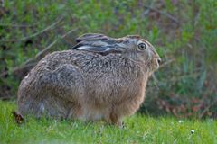 Überraschender Besuch