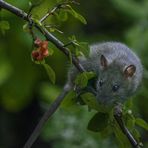 Überraschender Besuch