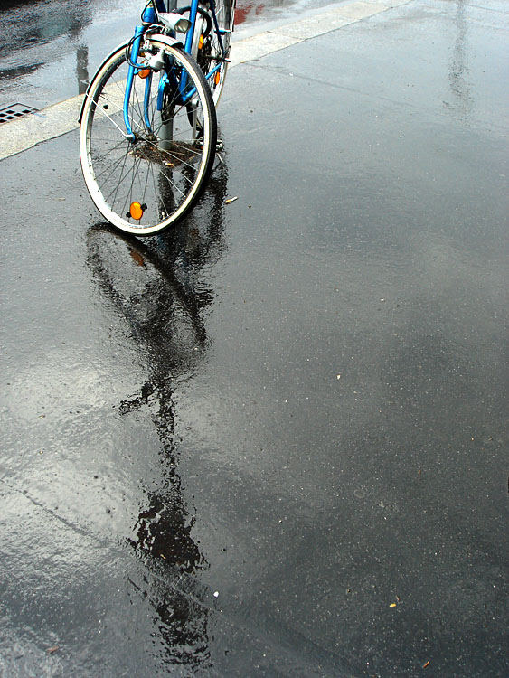 (überraschender) regenschauer - Impressionen 1