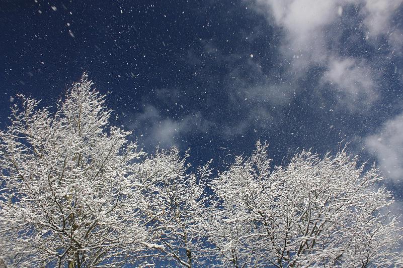 überraschender Schneefall...