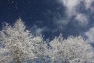 überraschender Schneefall... von Janine Stübing