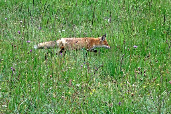 Überraschender Überholvorgang