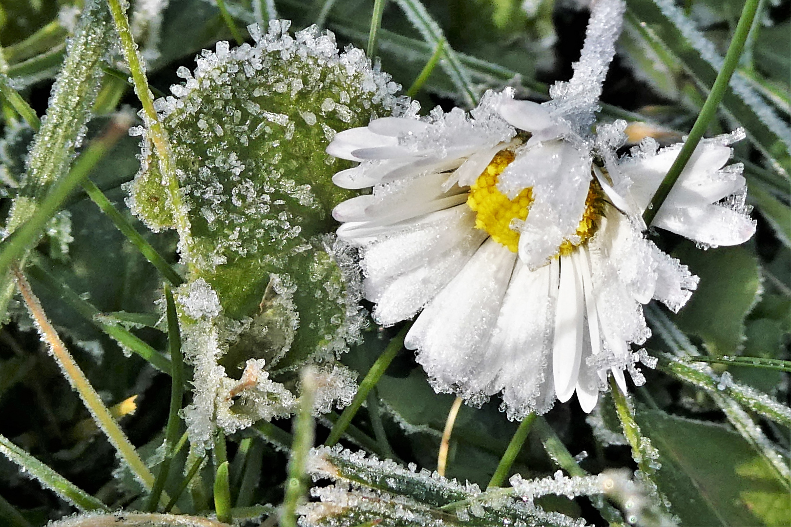 überraschender Wintereinbruch