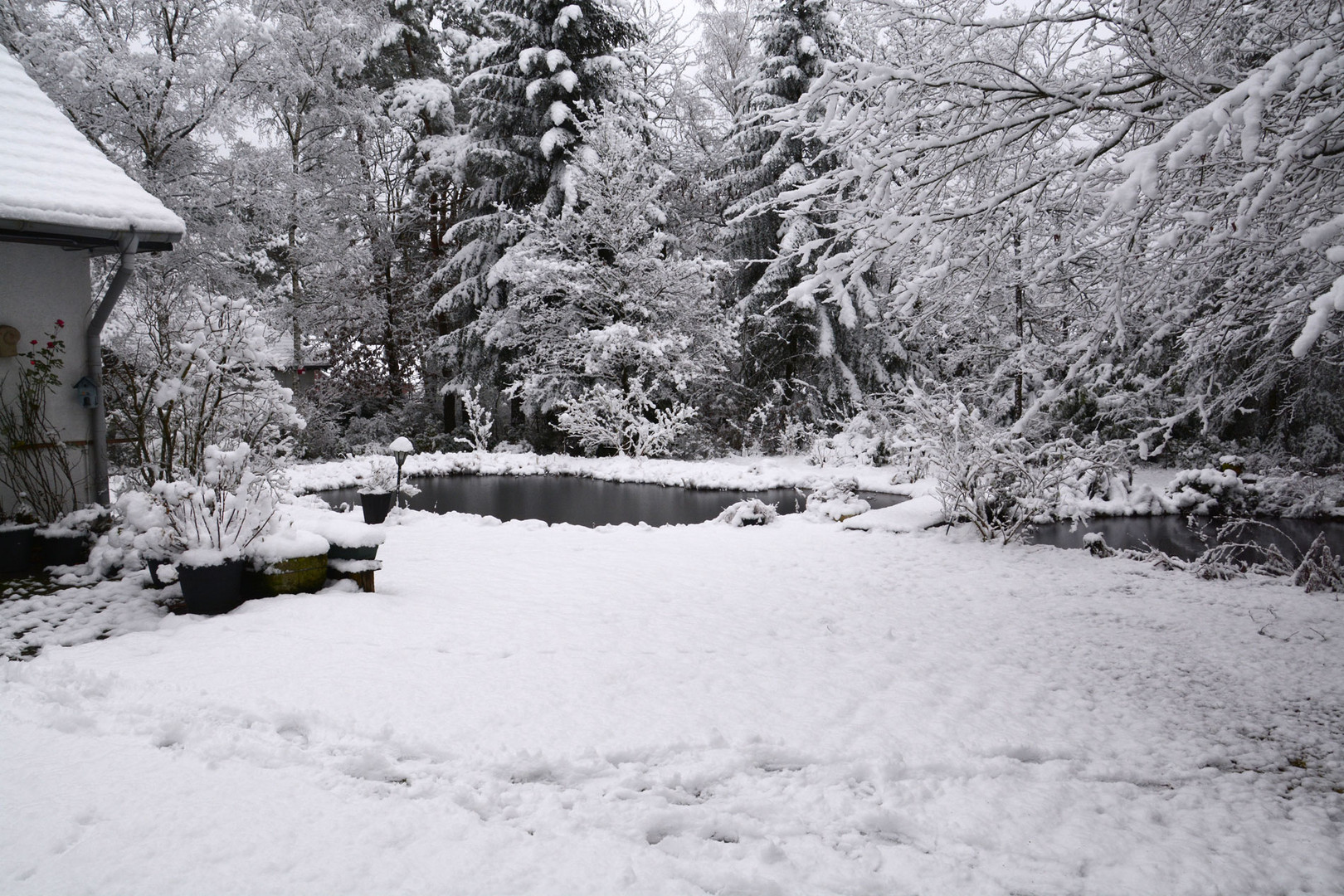 Überraschung am 1. Januar: 8 cm Schnee