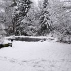 Überraschung am 1. Januar: 8 cm Schnee