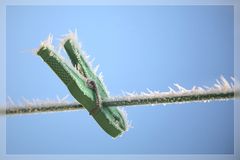 Überraschung am Morgen