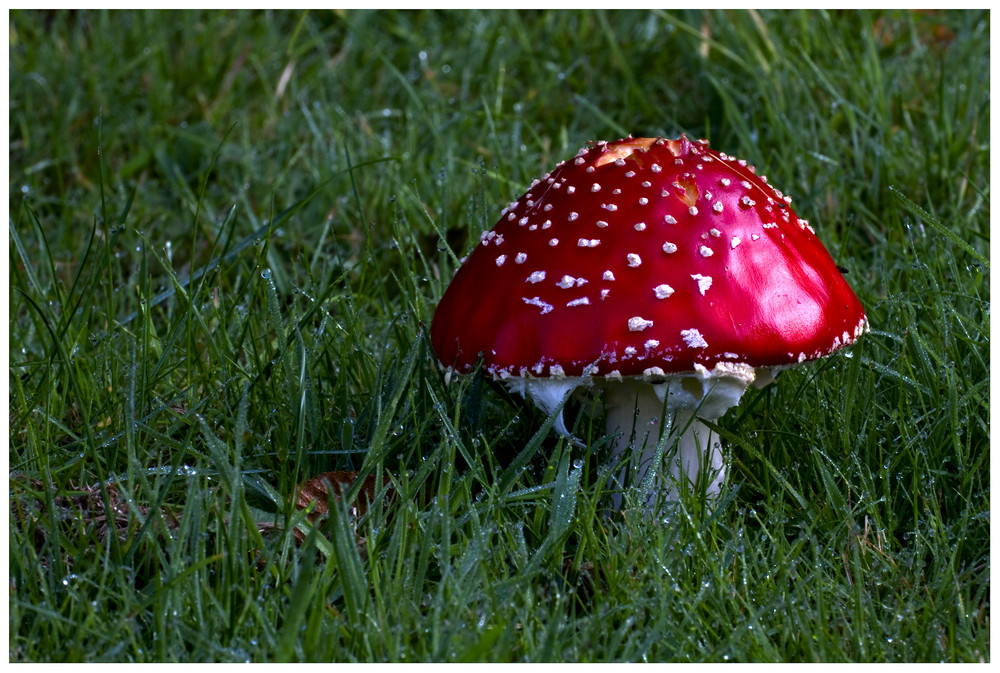 Überraschung am Morgen