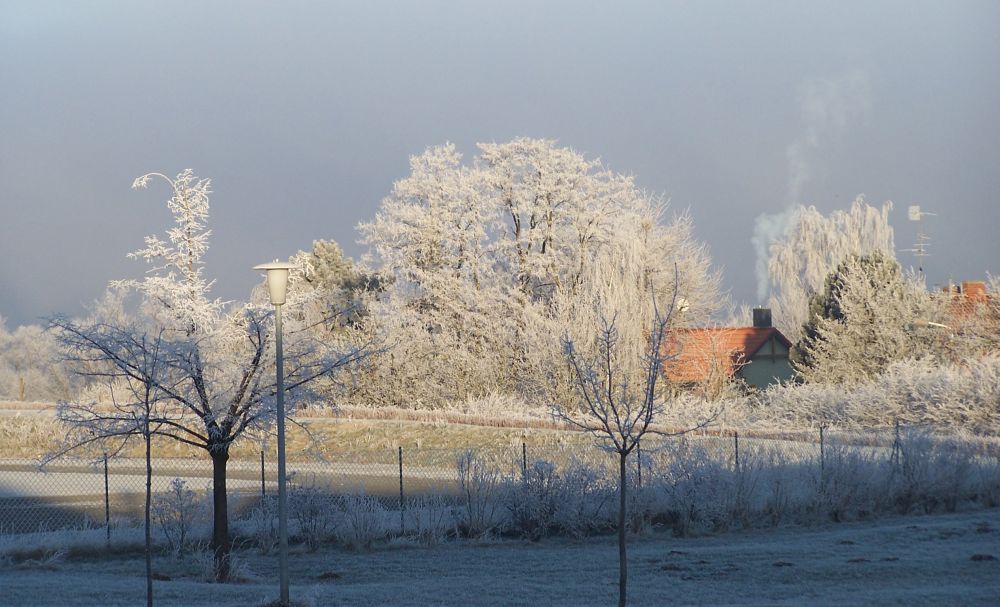 Überraschung am Morgen