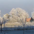 Überraschung am Morgen