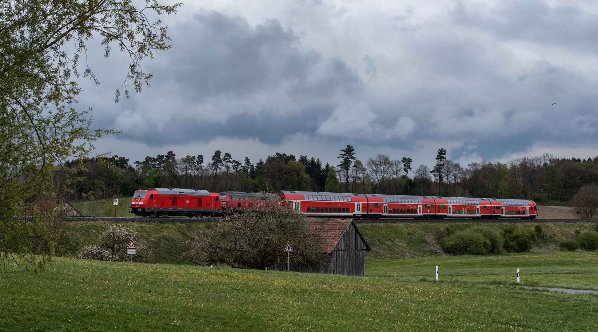 Überraschung am Nachmittag