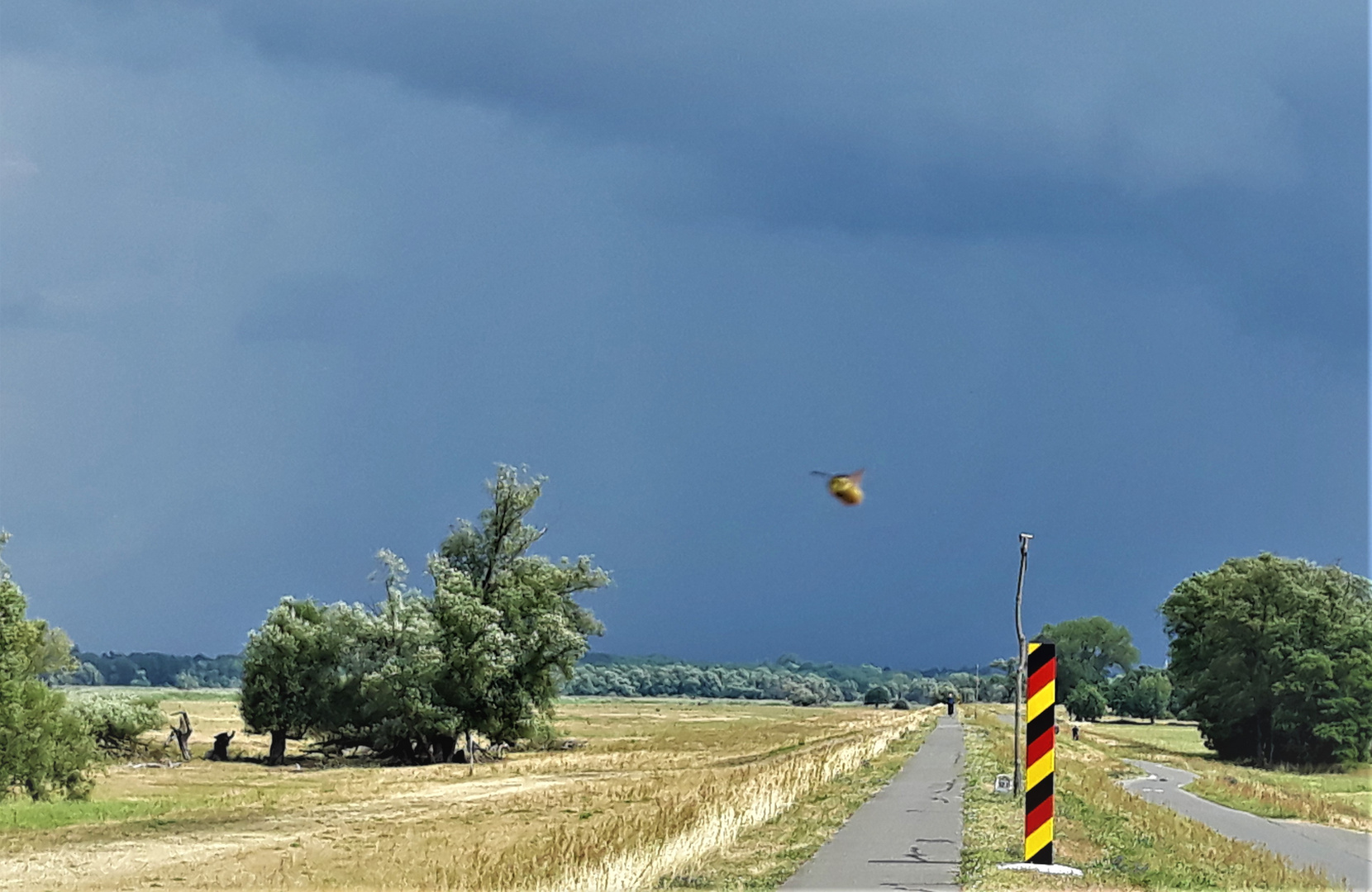 Überraschung an der Oder vor dem Gewitter