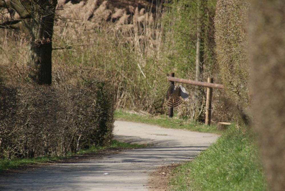 Überraschung auf beiden Seiten